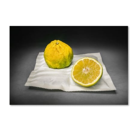 Christophe Verot 'Citrus' Canvas Art,22x32